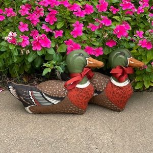 Duck pillows set of 2